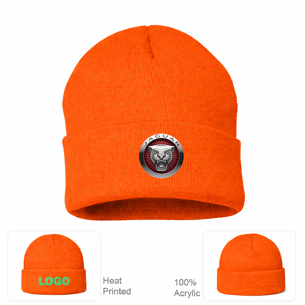 Jaguar Motorsport Car Beanie Hat